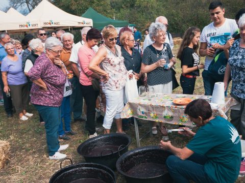 Mozgalmas szilvanap Feldobolyban