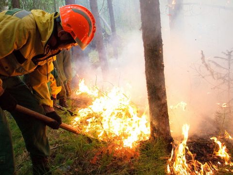 Eloltották az összes orosz erdőtüzet