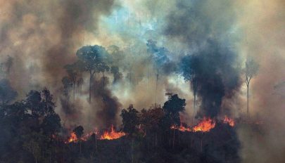 Jelentősen csökkentek szeptemberben az amazonasi erdőtüzek