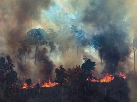 Jelentősen csökkentek szeptemberben az amazonasi erdőtüzek