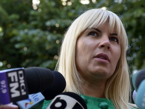 Nyolc év letöltendő börtönbüntetésre ítélték Elena Udreát