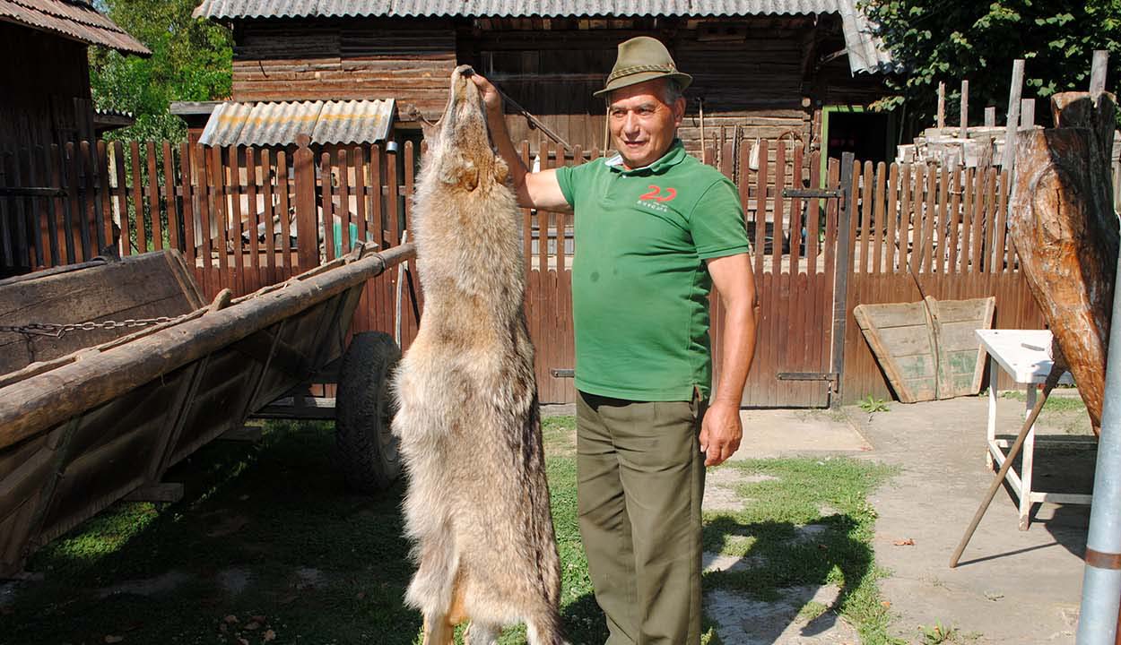 „Aki kiabál, az még madarat sem lát a fák között!”