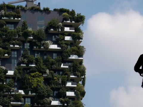 Városi erdőkkel fékezné a klímaváltozást az ENSZ