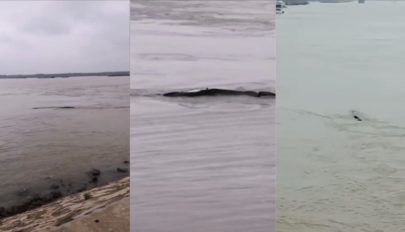 Kínai „Loch Ness-i szörnyet” láttak a Jangce folyóban