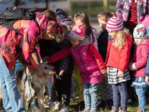 Kutyusok az óvodában