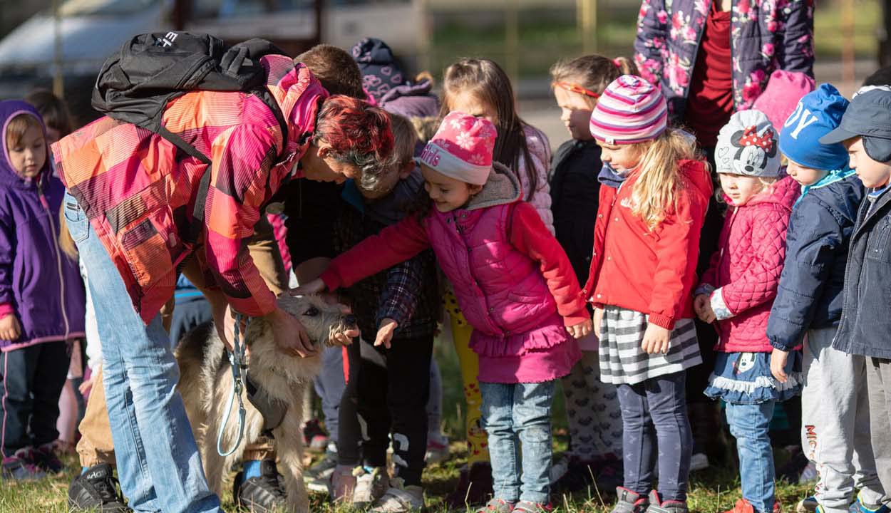 Kutyusok az óvodában