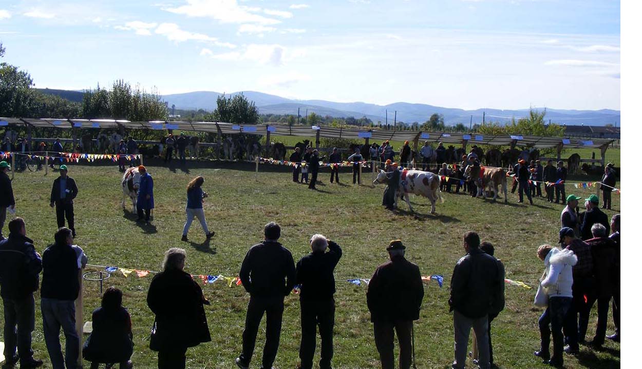 Stadion épülhet Kovásznán