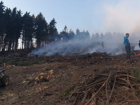 Nyomoznak a hatóságok