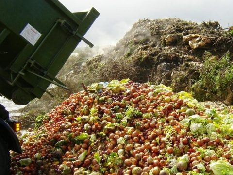 Túl sok az élelmiszerhulladék a világon