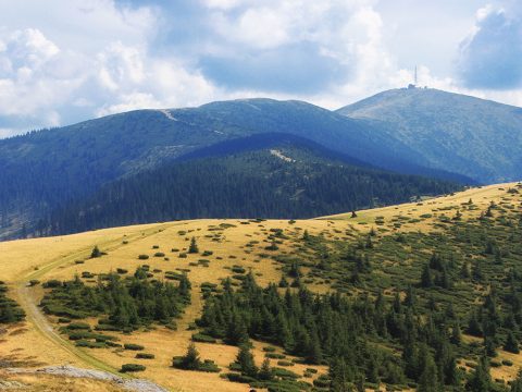 Holtan találták az erdélyi Bihar-hegységben eltűnt magyar túrázót