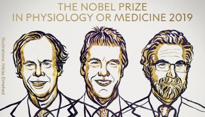 Sejtkutatásért hárman kapják az orvosi Nobel-díjat