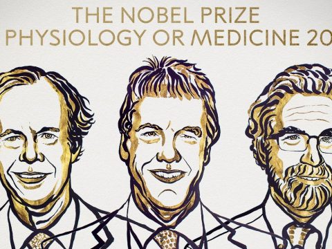 Sejtkutatásért hárman kapják az orvosi Nobel-díjat