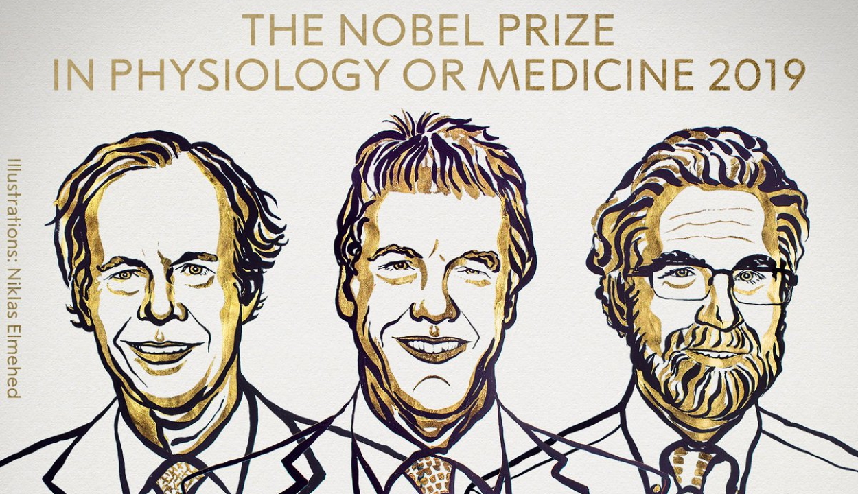 Sejtkutatásért hárman kapják az orvosi Nobel-díjat
