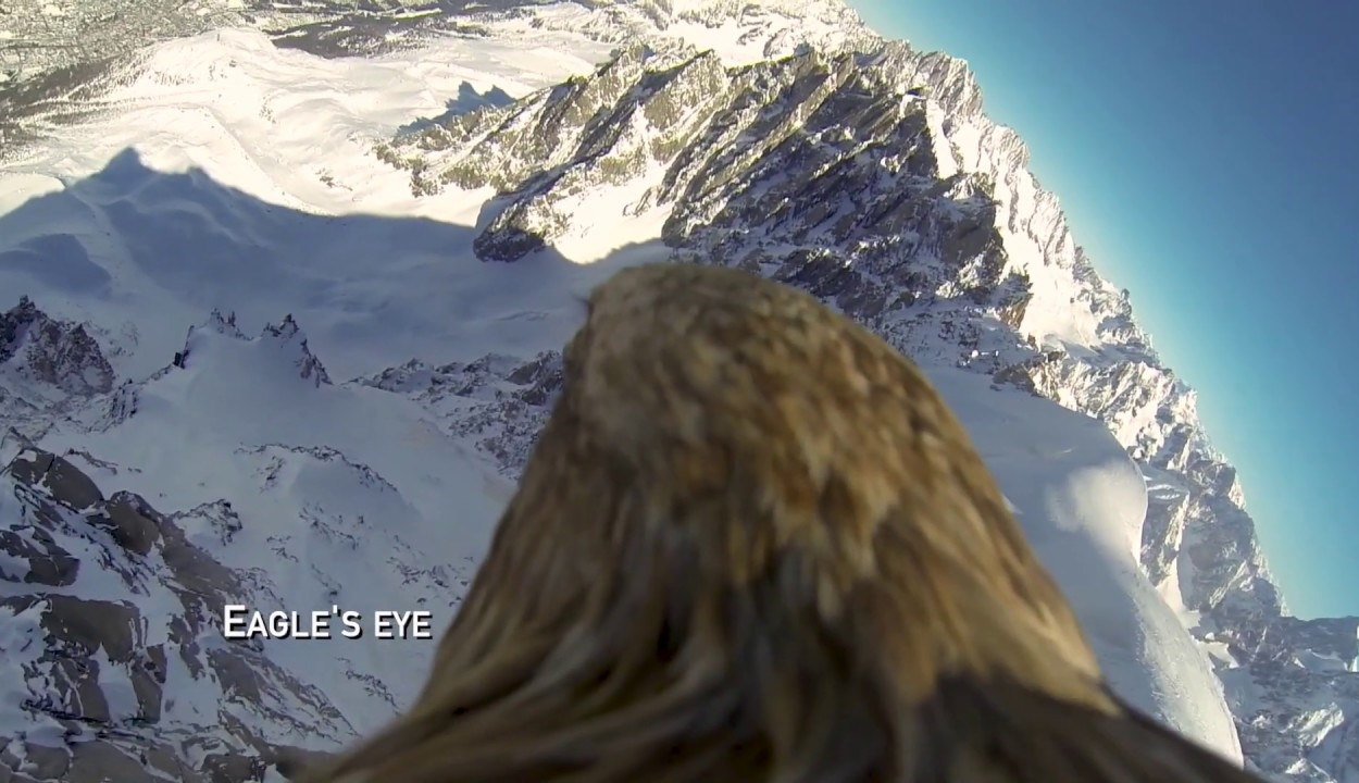 Egy rétisas nézőpontjából figyelhetjük meg az Alpok olvadó gleccsereit
