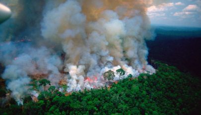 Önkéntes tűzoltókat vádolnak erdők felgyújtásával Brazíliában