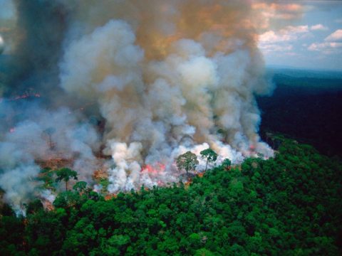 Önkéntes tűzoltókat vádolnak erdők felgyújtásával Brazíliában