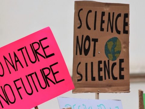 11 ezer tudós írta alá a globális klímavészhelyzet kihirdetését