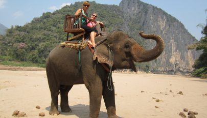 Betiltják az elefántháton való túrázást