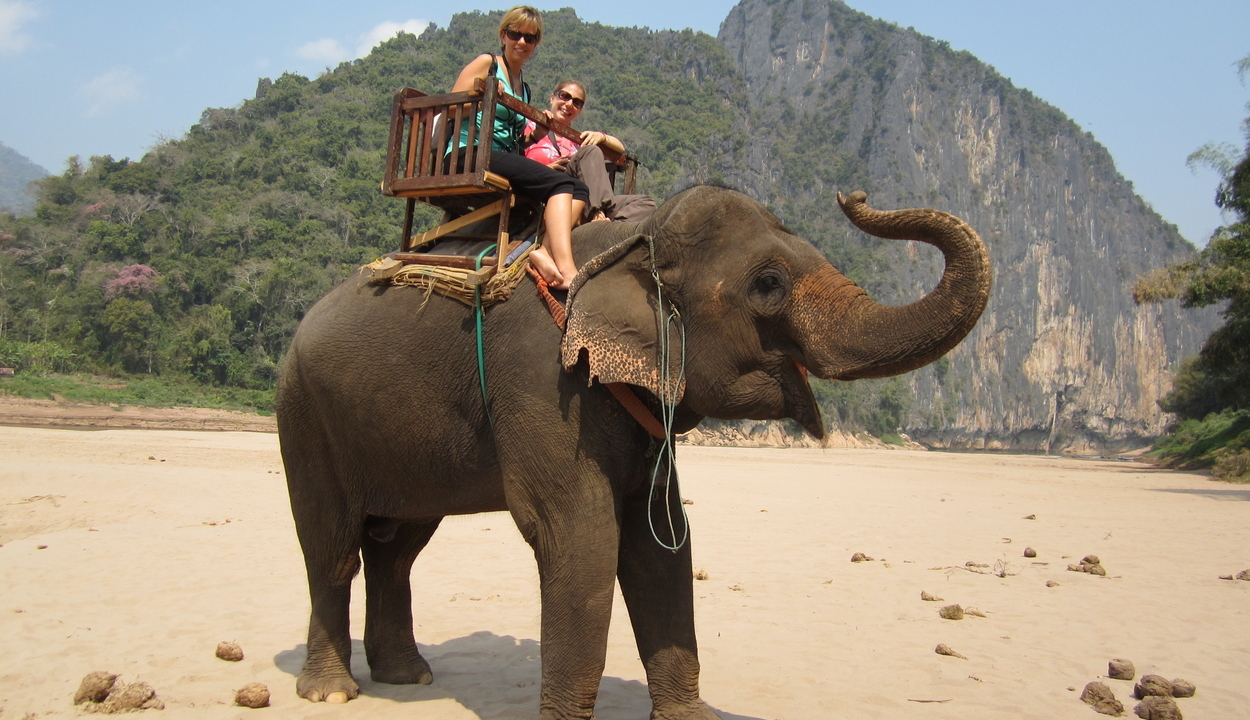 Betiltják az elefántháton való túrázást