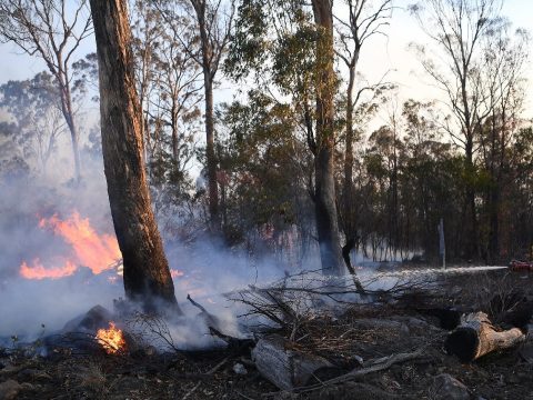 Közel nyolc hónap után minden tüzet eloltottak Új-Dél-Walesben
