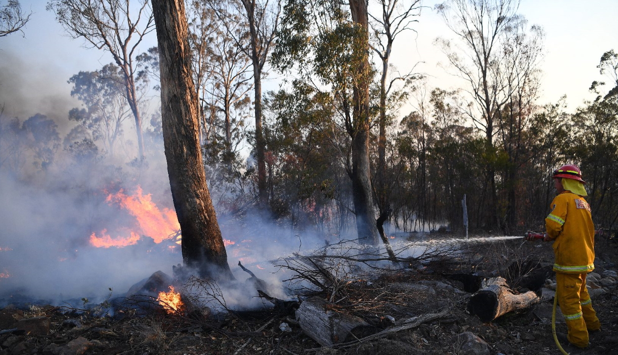 Szükségállapotot hirdettek a tűzvész miatt Ausztráliában