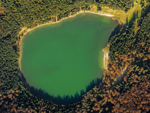 Algásodik a Szent Anna-tó, bajban vannak a fenyvesek, sivatagosodik Temesvár