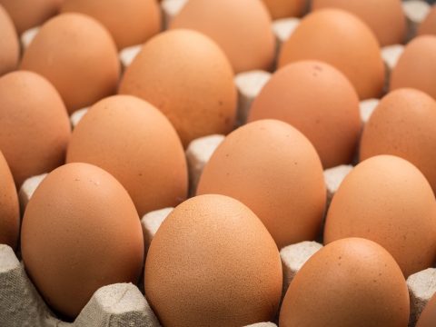 Ötven tojást akart elfogyasztani fogadásból, belehalt