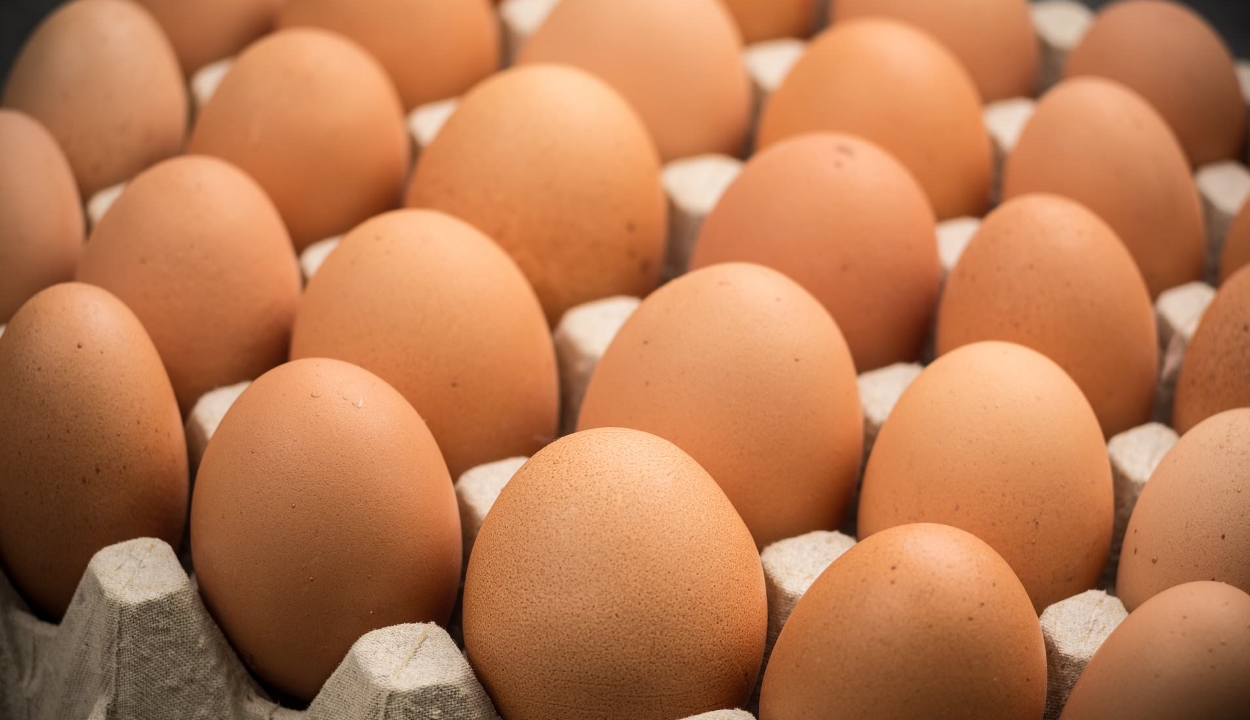 Ötven tojást akart elfogyasztani fogadásból, belehalt