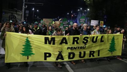 A törvénytelen erdőirtások és az erdészek elleni erőszak miatt tüntettek Bukarestben