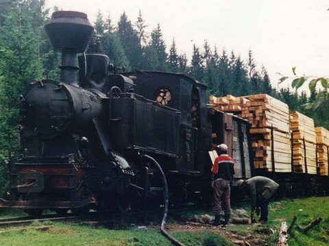 Megvásárolnák a kisvasutat