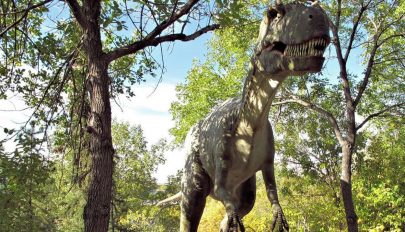 230 millió éve élt a legősibbb ragadozó dinoszaurusz