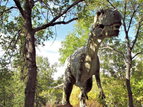 230 millió éve élt a legősibbb ragadozó dinoszaurusz