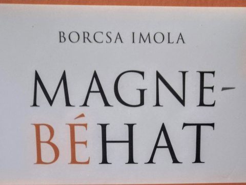 Megjelent Borcsa Imola első kötete