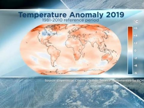 Majdnem mindenhol melegedést hozott 2019