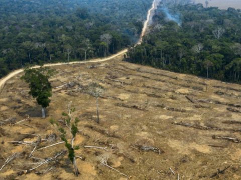 Drámaian nő az erdőirtás az Amazonas-medencében