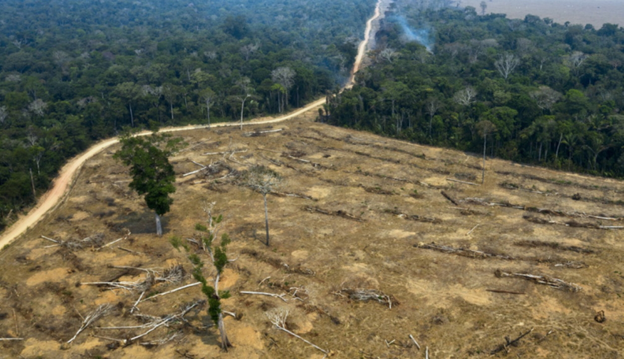 Drámaian nő az erdőirtás az Amazonas-medencében