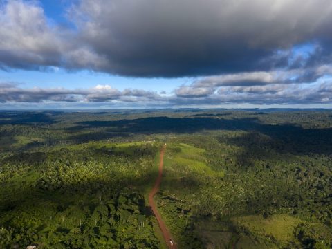 Egy hónap után mentettek ki egy kiránduló nőt három gyerekével az amazonasi őserdőből