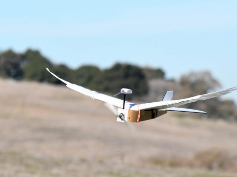 Először fejlesztettek tollakkal szárnyaló robotot