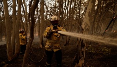Sikerült megfékezni a tüzeket az ausztráliai Új-Dél-Walesben