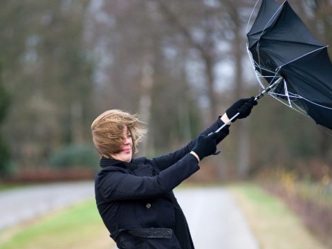 Négy megyében másodfokú, 28 megyében elsőfokú szélriadó van érvényben