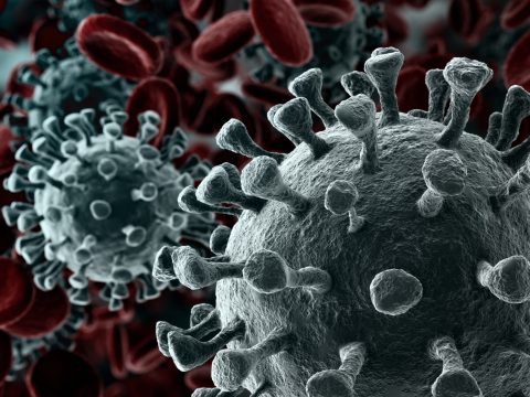 2719 új koronavírusos megbetegedést jelentettek 26.744 teszt feldolgozása nyomán