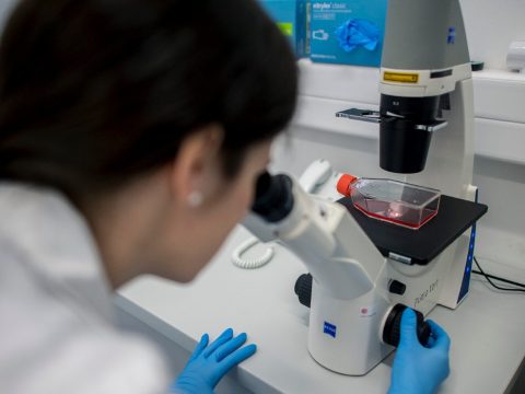 Két új koronavírustörzs fertőz kínai kutatások szerint