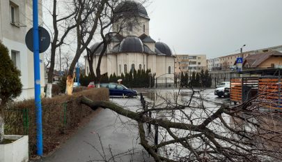 Fákat, reklámpannót döntött ki az erős szél Brassó és Kovászna megyében