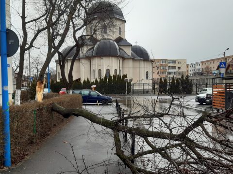 Fákat, reklámpannót döntött ki az erős szél Brassó és Kovászna megyében