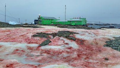 Piros hó esett az Antarktiszon