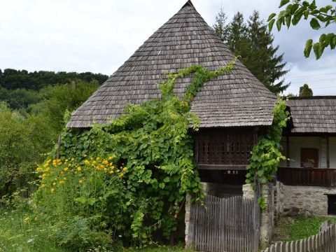 Gazdag szinonimaszótár