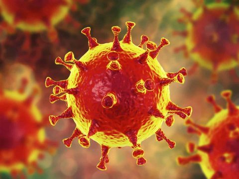 1551 új koronavírusos megbetegedést jelentettek 9119 teszt feldolgozása nyomán