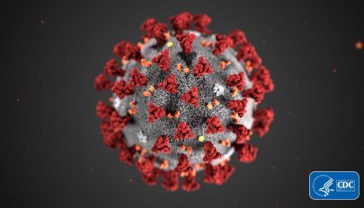 2580 új koronavírusos megbetegedést jelentettek 31.752 teszt feldolgozása nyomán