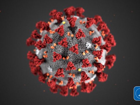 1470 új koronavírusos megbetegedést jelentettek az elmúlt 24 órában