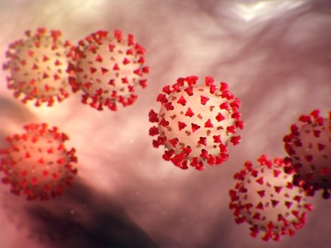 2668 új koronavírusos megbetegedést jelentettek 32.501 teszt feldolgozása nyomán